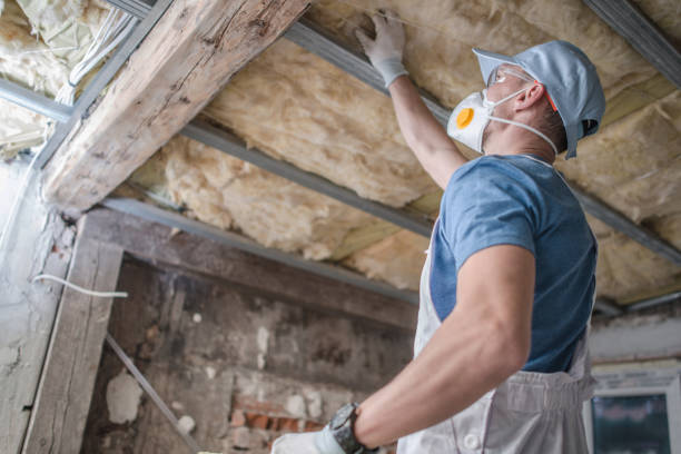 Best Residential Insulation in Agua Dulce, CA