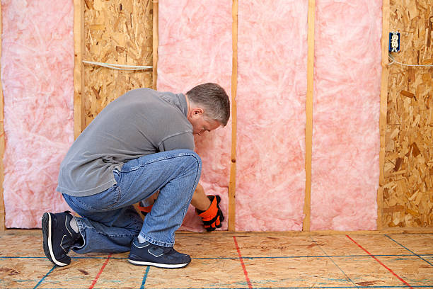 Best Spray Foam Insulation in Agua Dulce, CA