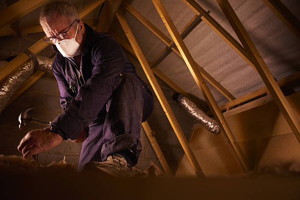 Best Insulation Maintenance and Repair in Agua Dulce, CA
